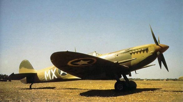 Spitfire Mk IX 307th FS 31st FG in North Africa