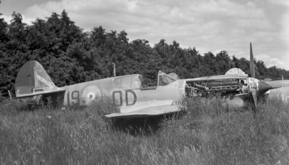 1/48 P-40M RNZAF scale model with open panels and detailed interior, expertly weathered to represent a derelict aircraft.”