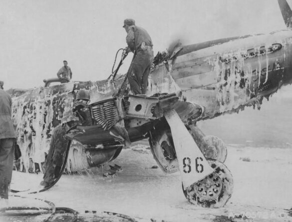 P-51D Mustang at Iwo Jima – The colors and insignia of the 45th, 47th & 78th Fighter Squadrons of the 15th Fighter Group