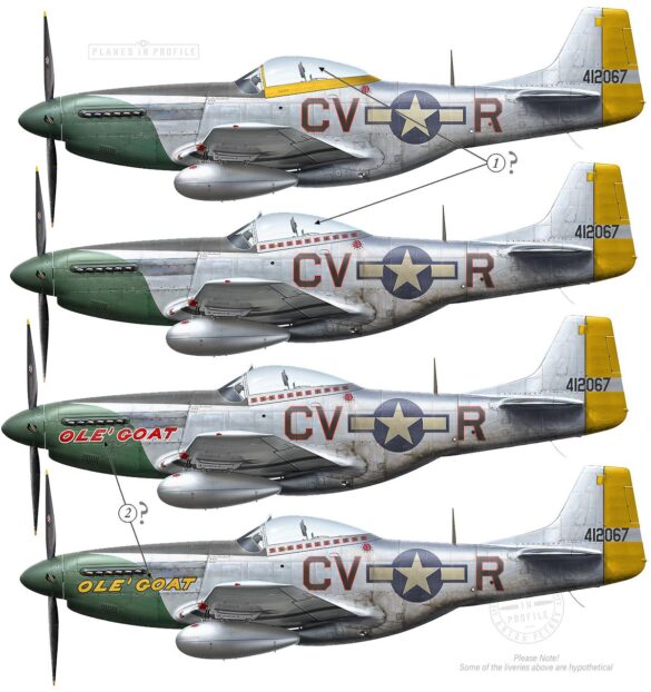 OleGoat PossibleLiveryEvolution PlanesInProfile
