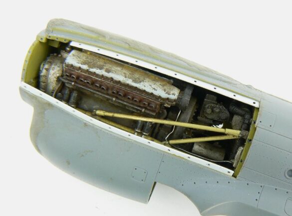 1/48 P-40M RNZAF scale model with open panels and detailed interior, expertly weathered to represent a derelict aircraft.”