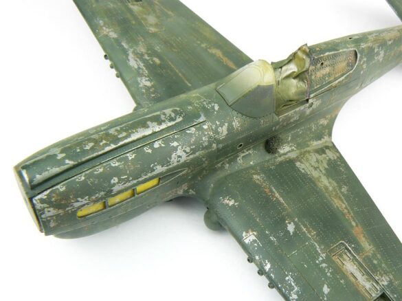 1/48 P-40M RNZAF scale model with open panels and detailed interior, expertly weathered to represent a derelict aircraft.”