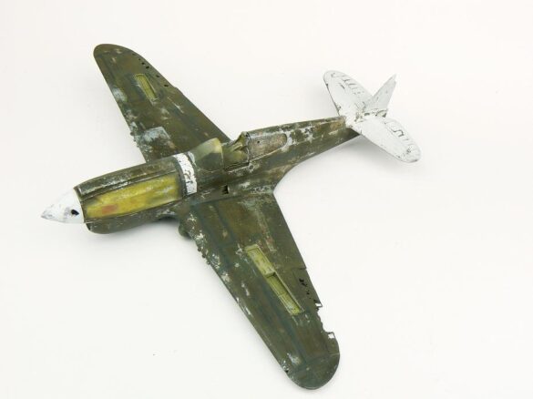 1/48 P-40M RNZAF scale model with open panels and detailed interior, expertly weathered to represent a derelict aircraft.”