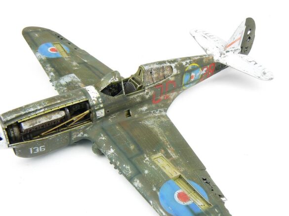 1/48 P-40M RNZAF scale model with open panels and detailed interior, expertly weathered to represent a derelict aircraft.”