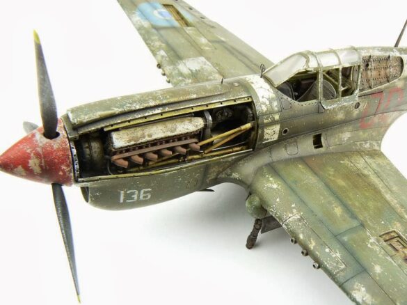 1/48 P-40M RNZAF scale model with open panels and detailed interior, expertly weathered to represent a derelict aircraft.”