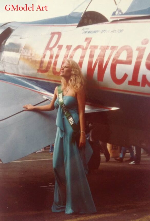 F4U Super Corsair Budweiser Light 1 Reno Air Races F4U Super Corsair Budweiser Light 1 Reno Air Races