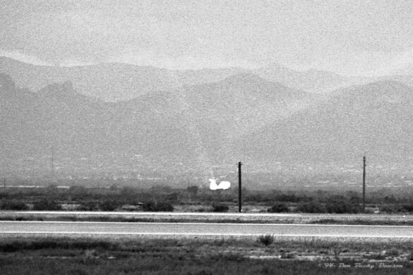 F4U Super Corsair Budweiser Light 1 Reno Air Races F4U Super Corsair Budweiser Light 1 Reno Air Races