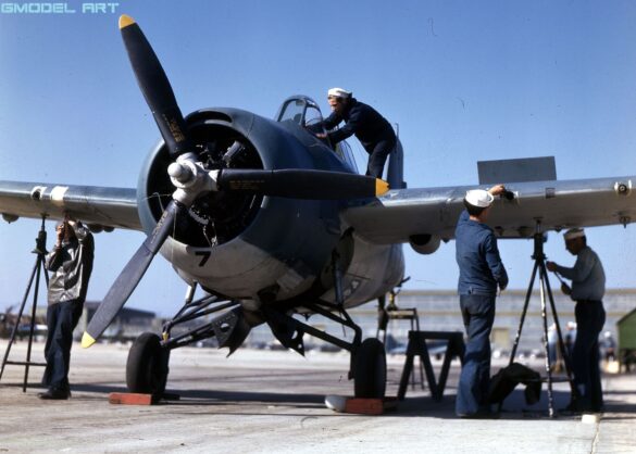 US Navy F4F Wildcat Blue Gray Camouflage Grumman F4F Wildcat in Blue Gray over Light Gray camouflage 1942 Pacific