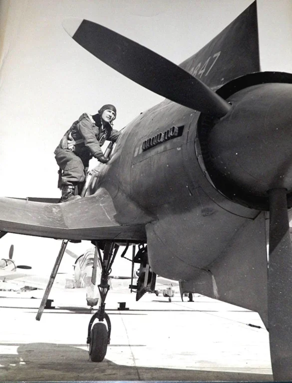 Curtiss XP 55 Ascender back