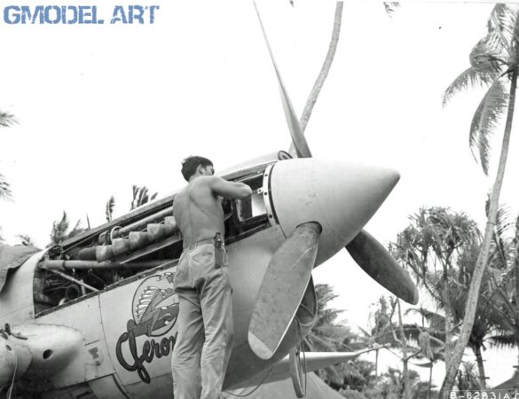 P-40N Warhawk of the 45th Fighter Squadron at Nanumea airfield in the Gilbert Islands, 1943