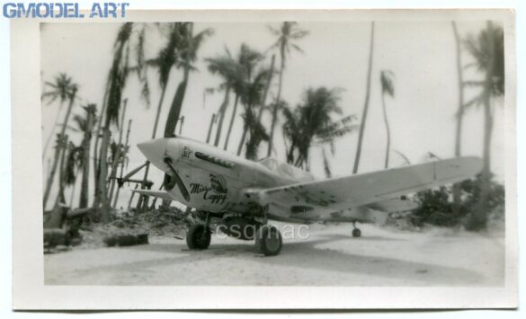 P-40N Warhawk of the 45th Fighter Squadron at Nanumea airfield in the Gilbert Islands, 1943