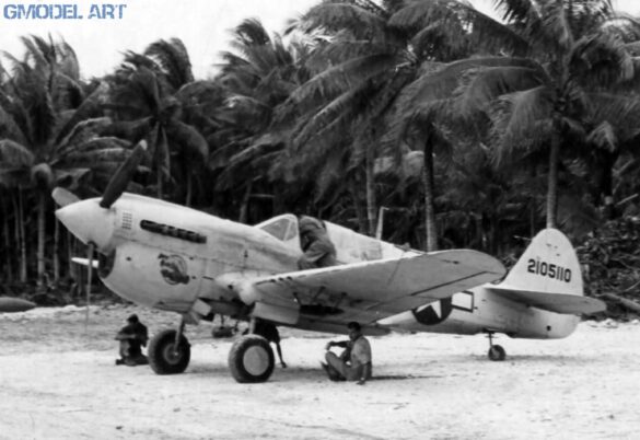 P-40N Warhawk of the 45th Fighter Squadron at Nanumea airfield in the Gilbert Islands, 1943