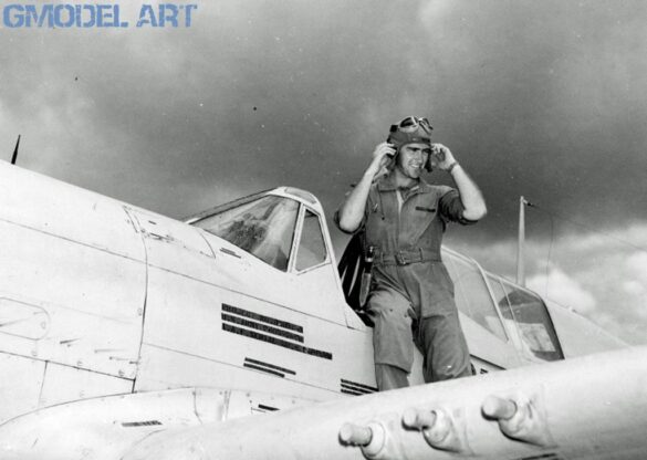 P-40N Warhawk of the 45th Fighter Squadron at Nanumea airfield in the Gilbert Islands, 1943