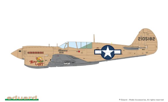 P-40N Warhawk coral sand camouflage scheme used in the Pacific islands during WWII
