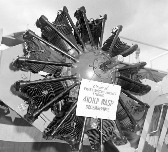 14449762_1808352666077388_4566509296486994205_n 14449762 1808352666077388 4566509296486994205 n