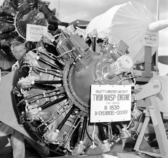 14484938_1808352712744050_2901349429215594016_n 14484938 1808352712744050 2901349429215594016 n