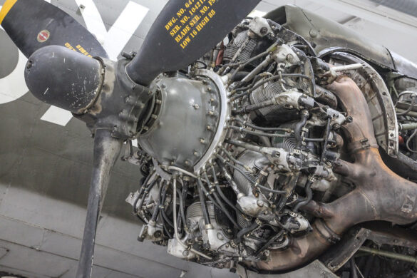 50073544233_5b804f4804_b 50073544233 5b804f4804 b