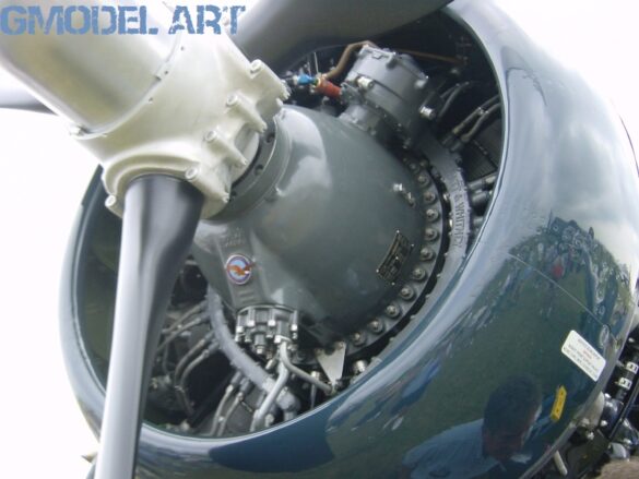 DSC06917web DSC06917web