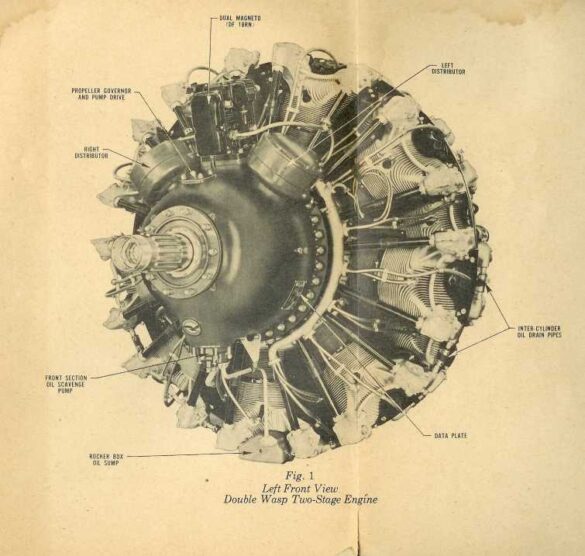 img_1769_18670999292_o img 1769 18670999292 o