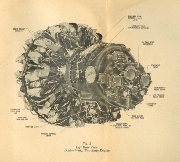 img_1770_18649418056_o img 1770 18649418056 o