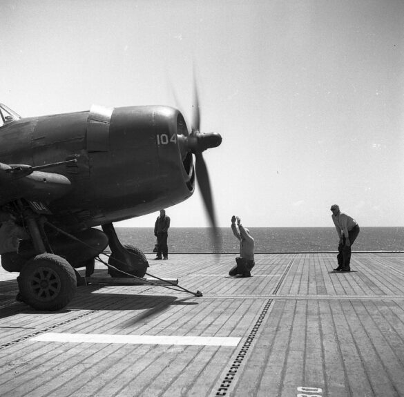f6f 5n 8 18058101944 o