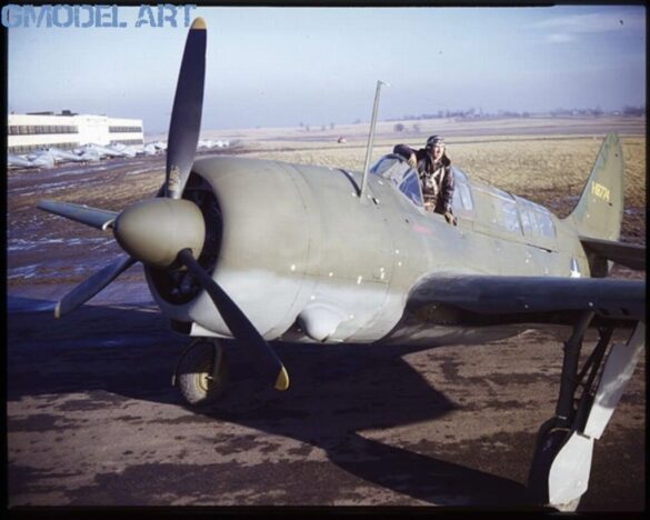 Neutral Gray No.43 underside historical reference