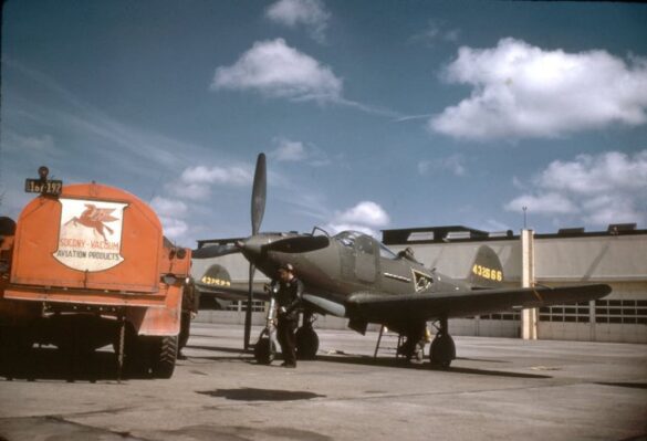 Dark Olive Drab No.41 over Neutral Gray No.43 camouflage