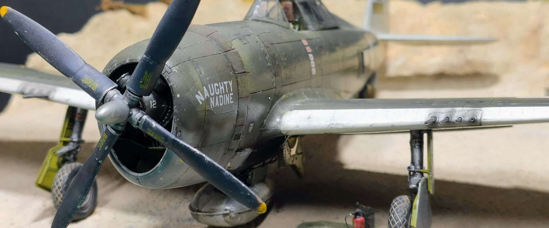 Tamiya 1/48 P-47D-3-RA Thunderbolt Naughty Nadine by John Lolos