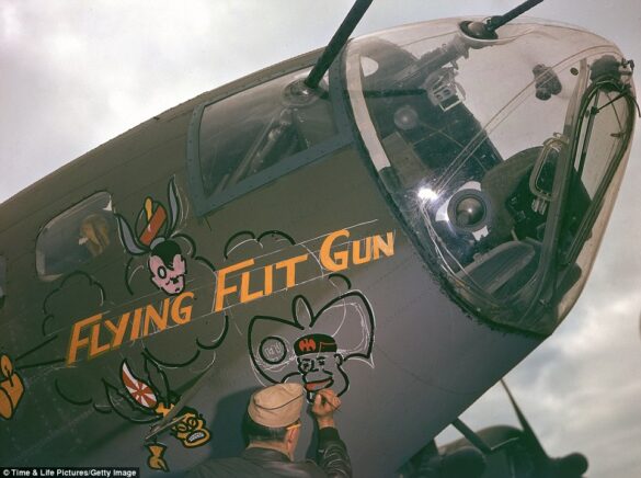 ANA transition from USAAF camouflage colors