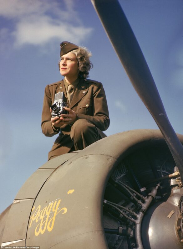 ANA transition from USAAF camouflage colors
