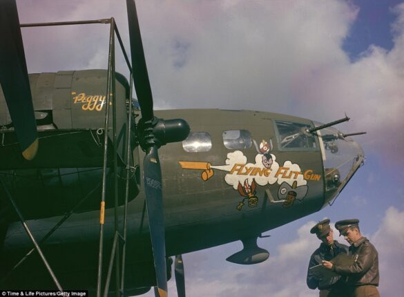 ANA transition from USAAF camouflage colors