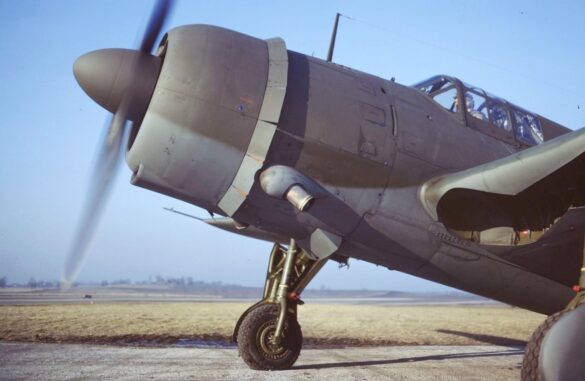 Neutral Gray No.43 underside historical reference