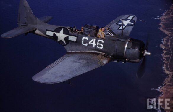 Upper wing weathering patterns on SBD White C 46 with oxidized aluminum and faded Blue Gray paint.