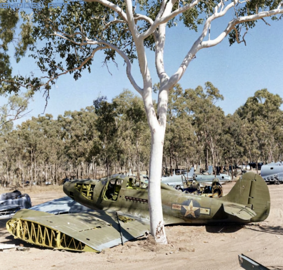 Reference photo of abandoned WWII Allied aircraft for scale model diorama