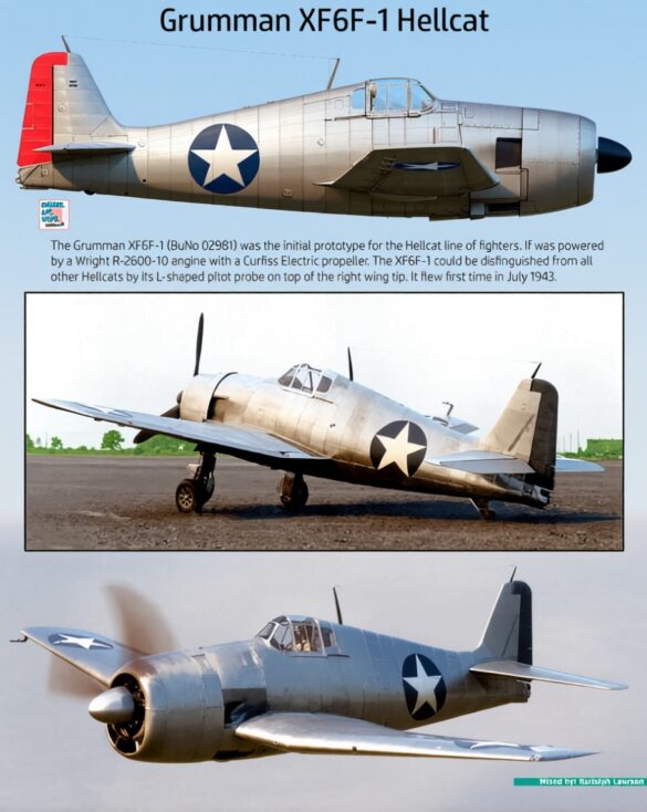 XF6F-1 Hellcat: The Prototype That Created America’s Ultimate Carrier Fighter Grumman XF6F-1 Hellcat prototype during its first flight tests at Bethpage Long Island in June 1942.