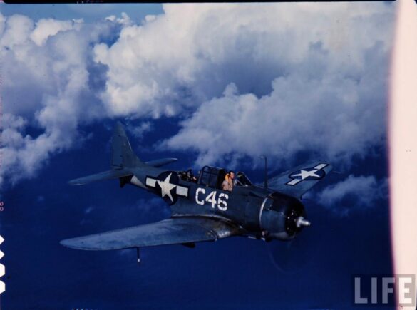 Upper wing weathering patterns on SBD White C 46 with oxidized aluminum and faded Blue Gray paint.