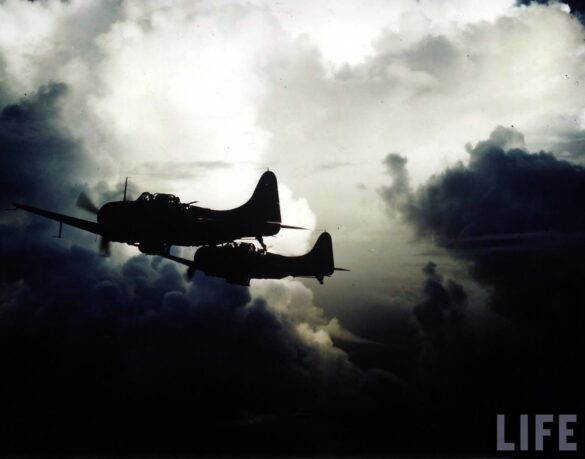 Fresh blue-bordered national insignia on a weathered SBD Dauntless training aircraft.