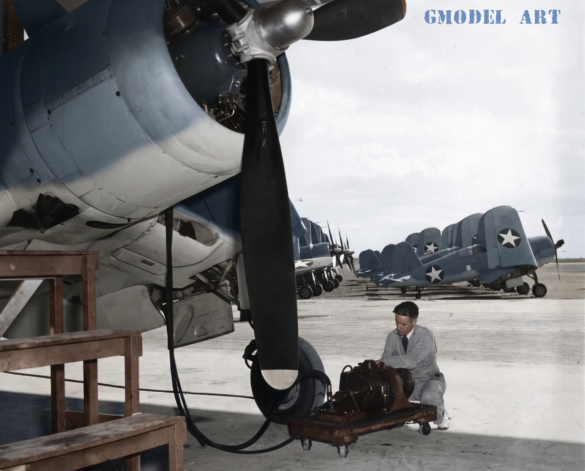 "Vought F4U-1 Corsair factory camouflage and markings"