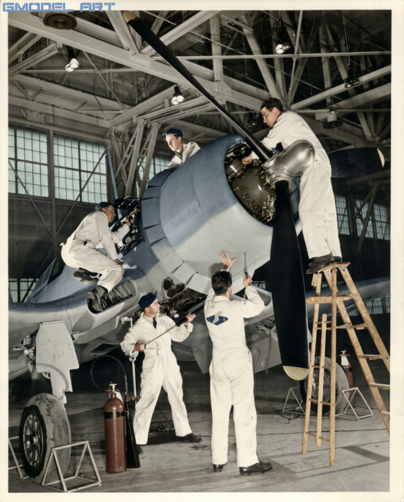 "Vought F4U-1 Corsair factory camouflage and markings"