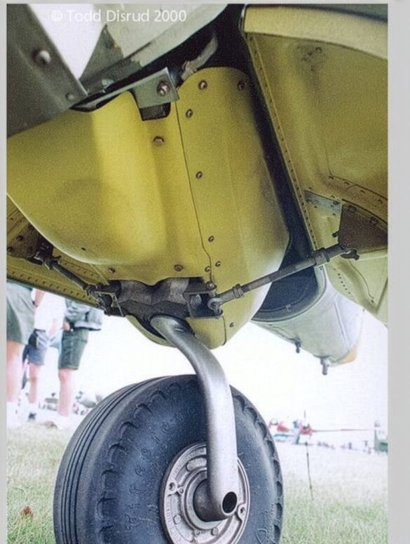 Firefly (17) Firefly 17