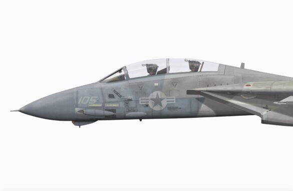 F-14 Tomcat displaying an experimental Ferris-inspired camouflage pattern
