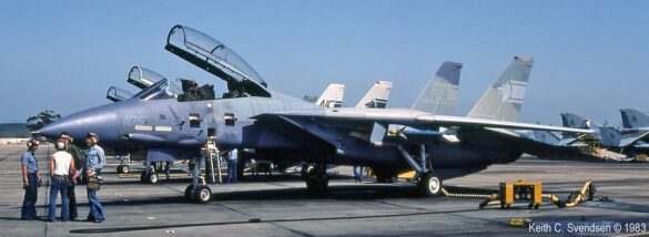 F-14 Tomcat displaying an experimental Ferris-inspired camouflage pattern