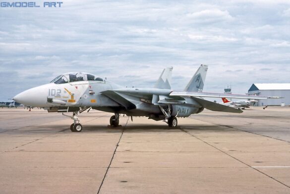 F-14 Tomcat displaying an experimental Ferris-inspired camouflage pattern