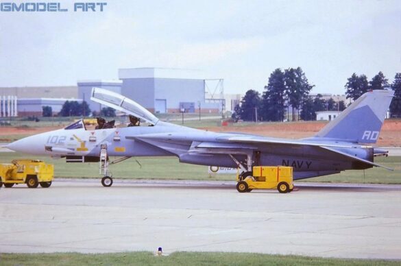 F-14 Tomcat displaying an experimental Ferris-inspired camouflage pattern