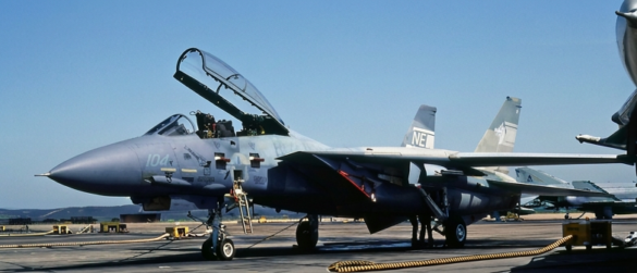F-14 Tomcat displaying an experimental Ferris-inspired camouflage pattern