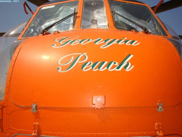 icm 53060 sikorsky s 64e model.jpg 12